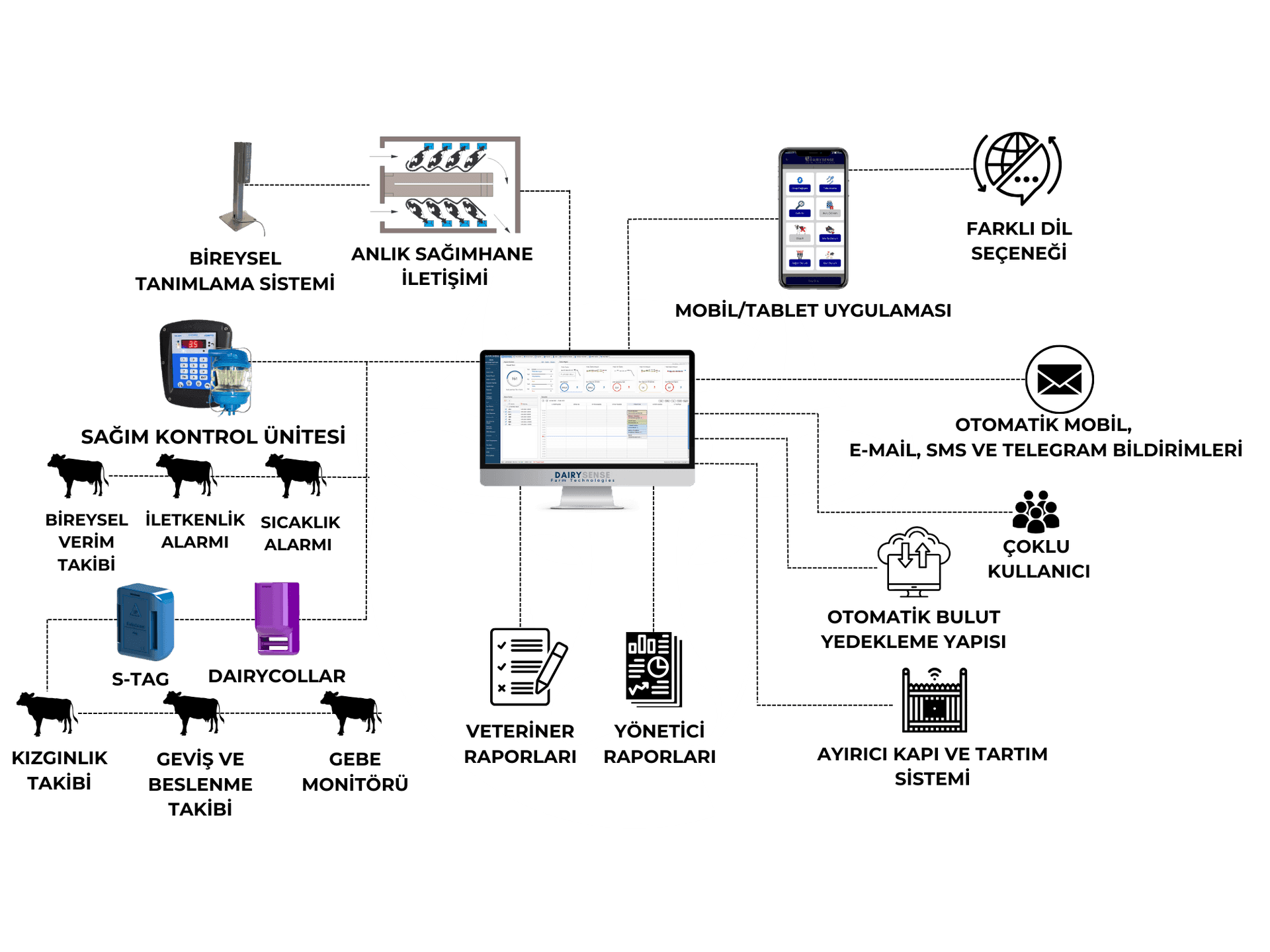 Premium Dairy Solutions