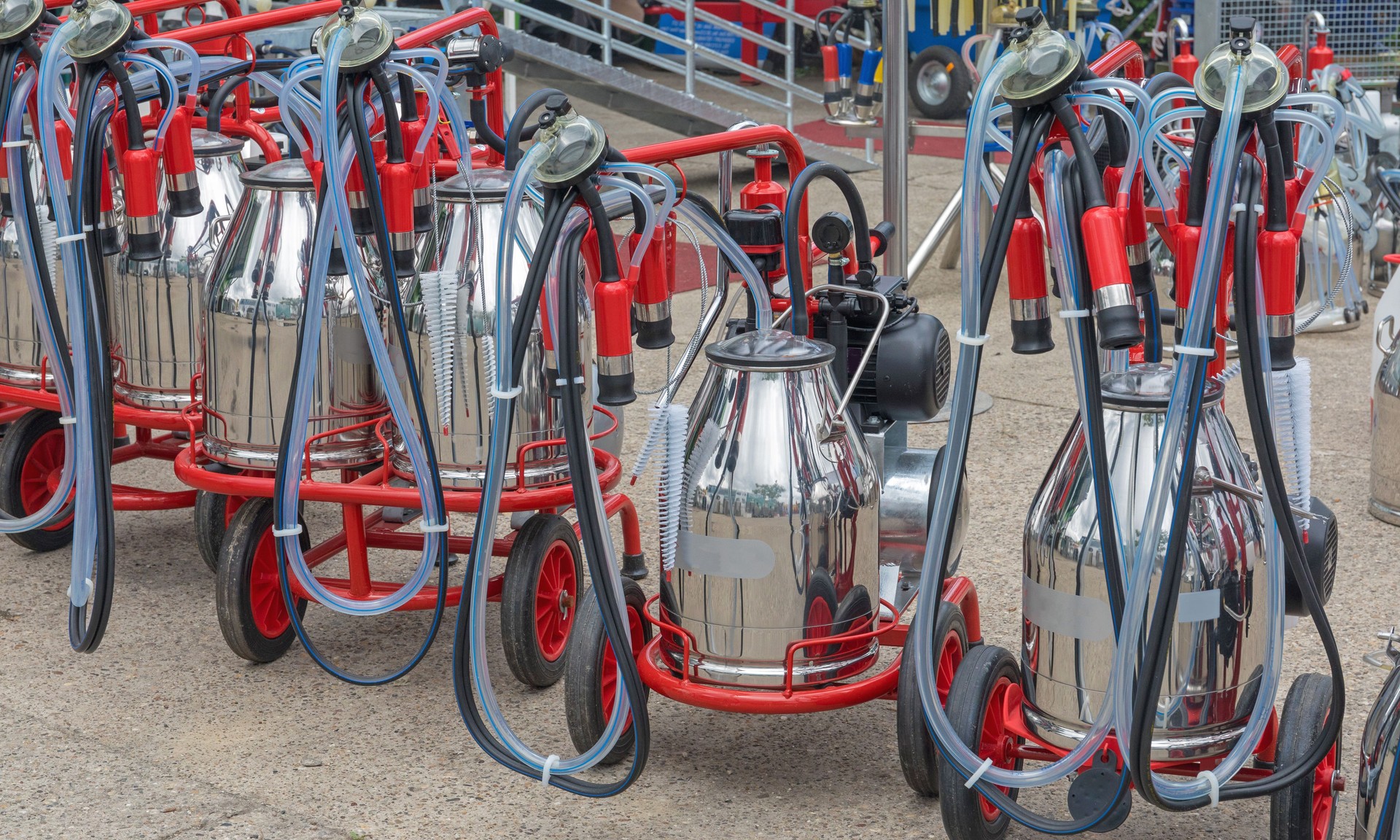 High-Performance Milking Cluster